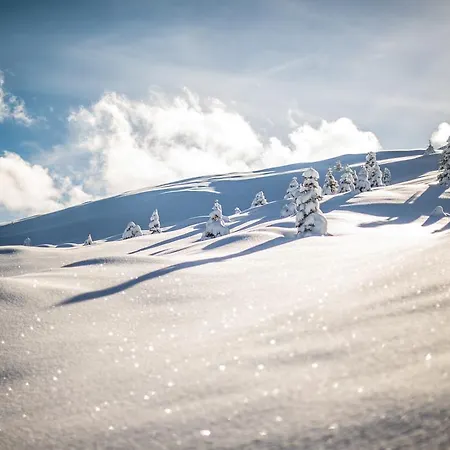 The Excelsior Ostfluegel Arosa