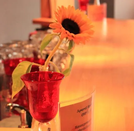 Отель The Excelsior Ostfluegel Ароза