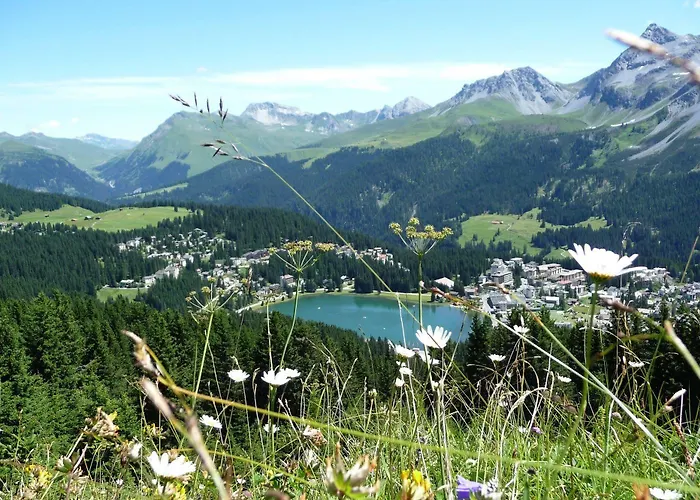 Отель The Excelsior Ostfluegel Ароза