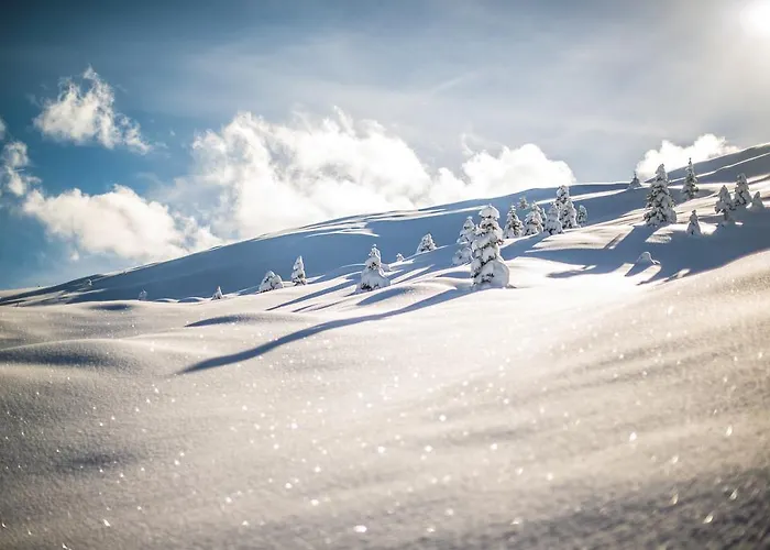 The Excelsior Ostfluegel Arosa