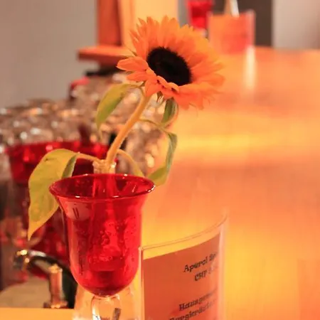 Hotel The Excelsior Ostfluegel Arosa